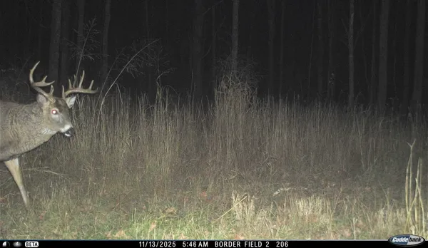 $5,000,000 | N3353 Comet Road, Tigerton, WI 54486