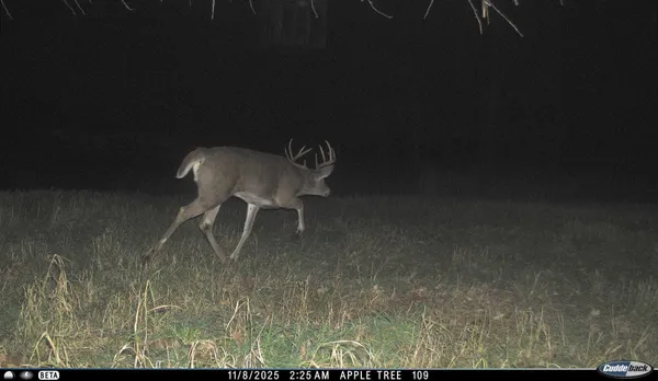 $5,000,000 | N3353 Comet Road, Tigerton, WI 54486