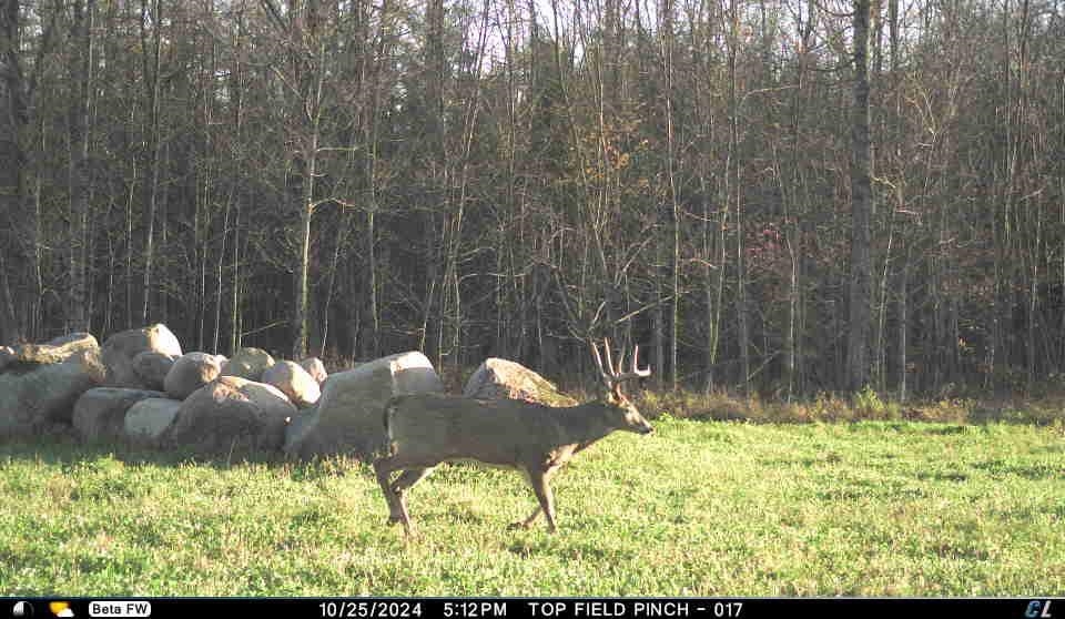 N3353 Comet Road Tigerton, WI 54486 - Photo 78 of 89