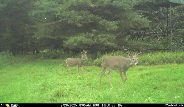 $5,000,000 | N3353 Comet Road, Tigerton, WI 54486