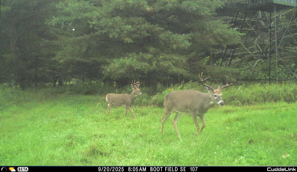 N3353 Comet Road Tigerton, WI 54486 - Photo 79 of 89
