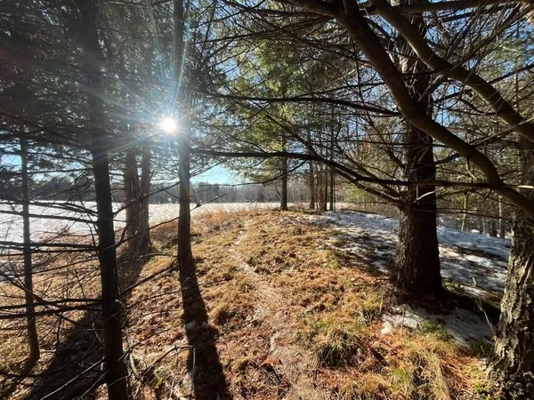 $5,000,000 | N3353 Comet Road, Tigerton, WI 54486