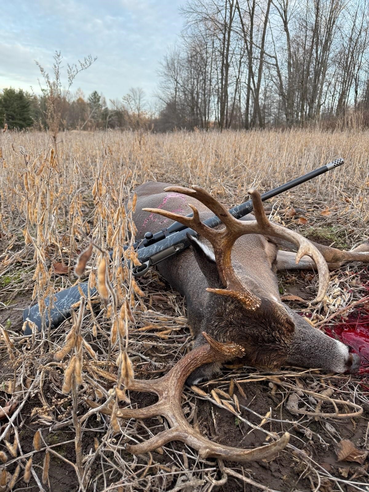 N3353 Comet Road Tigerton, WI 54486 - Photo 81 of 89