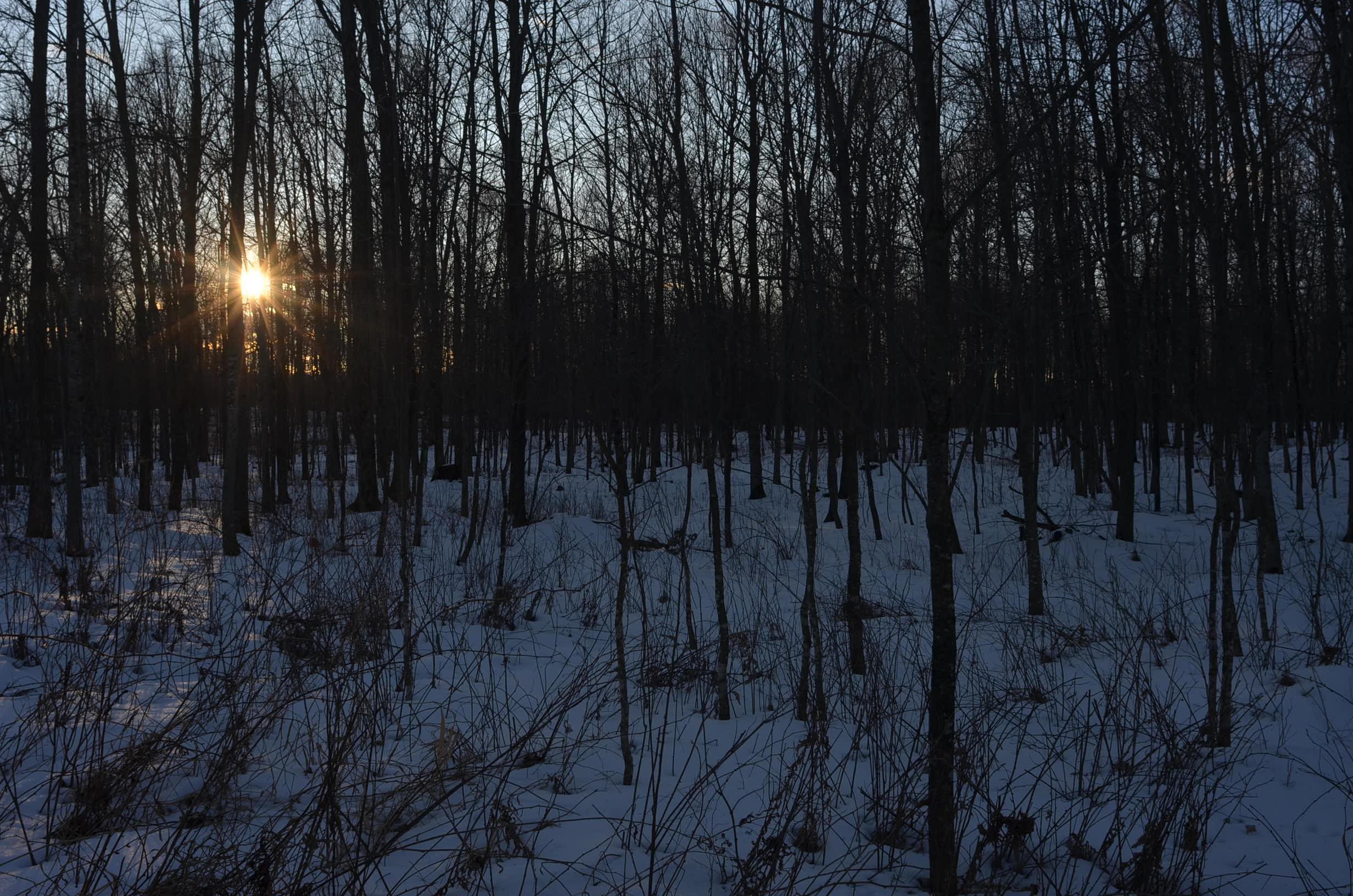 N3353 Comet Road Tigerton, WI 54486 - Photo 82 of 89