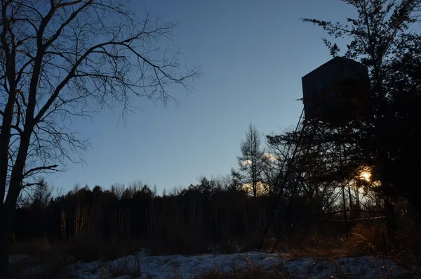 $5,000,000 | N3353 Comet Road, Tigerton, WI 54486