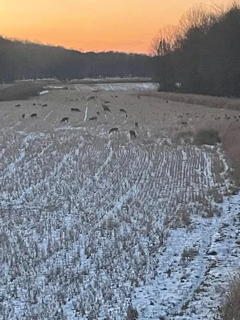 $5,000,000 | N3353 Comet Road, Tigerton, WI 54486