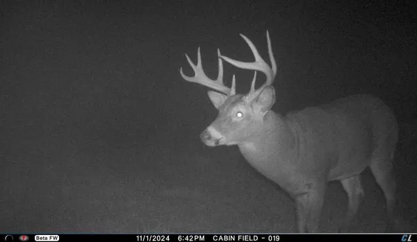 $5,000,000 | N3353 Comet Road, Tigerton, WI 54486