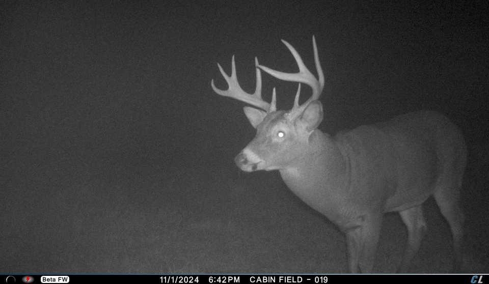 N3353 Comet Road Tigerton, WI 54486 - Photo 87 of 89