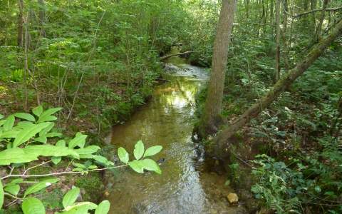 Lot 3 Liberty Road Murphy, NC 28906 - Photo 1 of 1 Main View