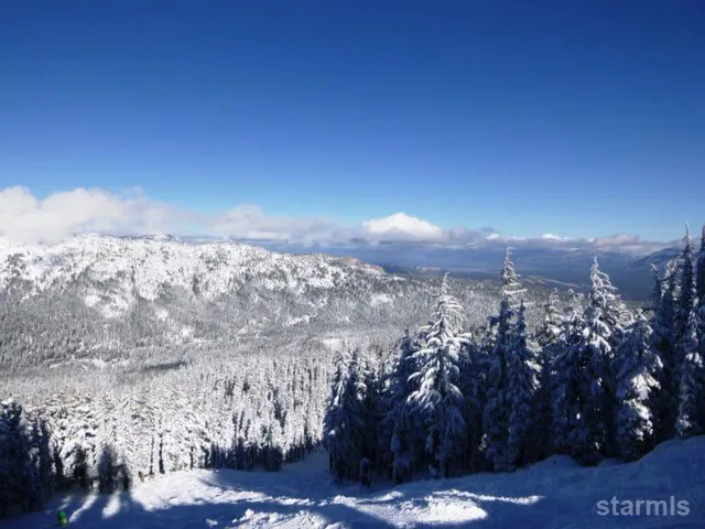 a view of a city with lots of trees