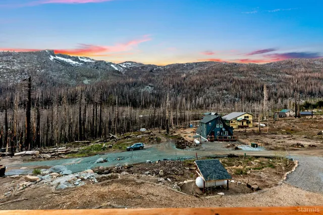 a view of a park with a large tree