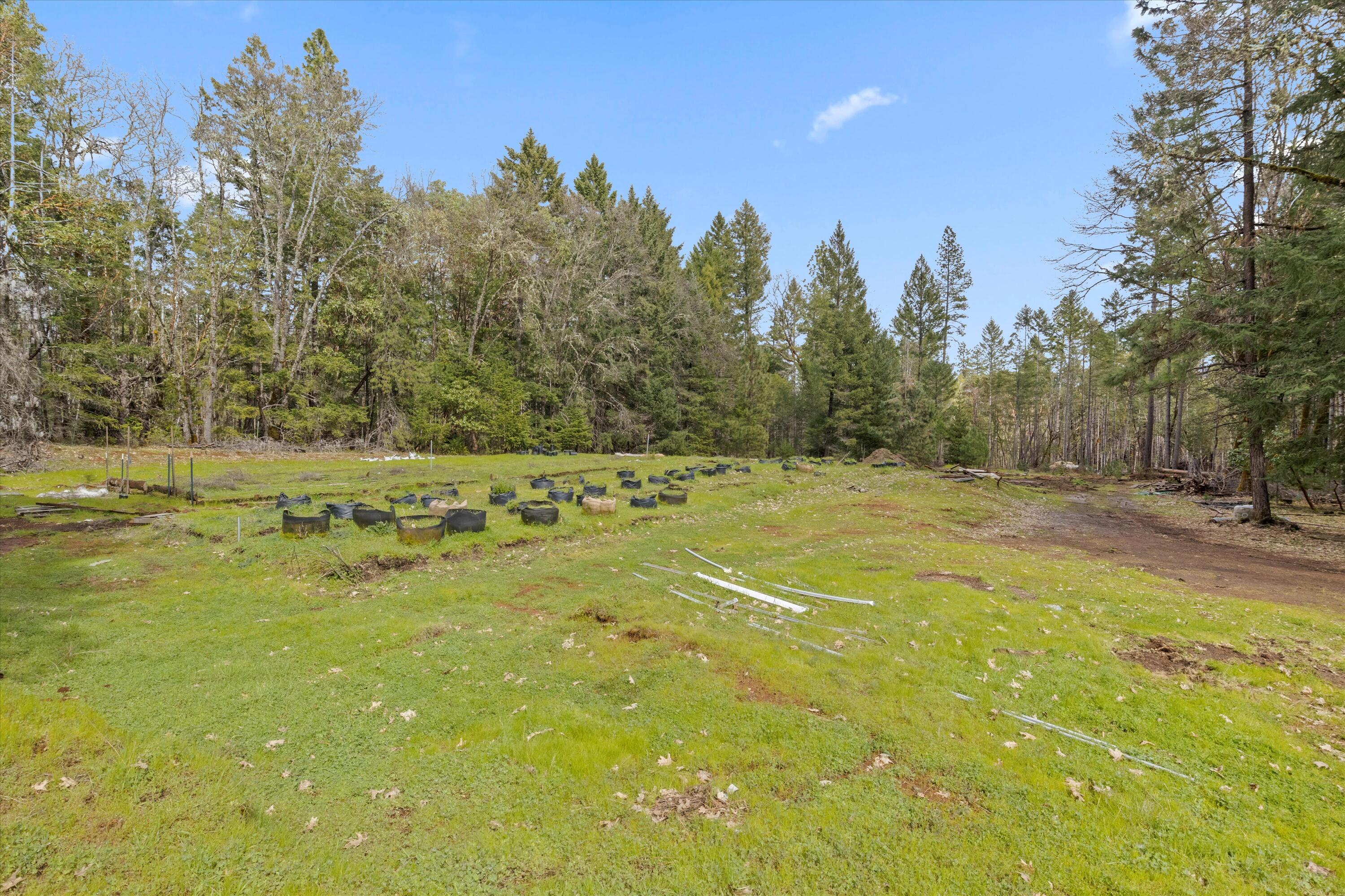 1245 East Crow Road Merlin, OR 97532 - Photo 3 of 41 41-IMG_4670