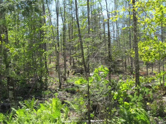 $87,500 | 13 Concord Pond Road, Bryant Pond, ME 04219