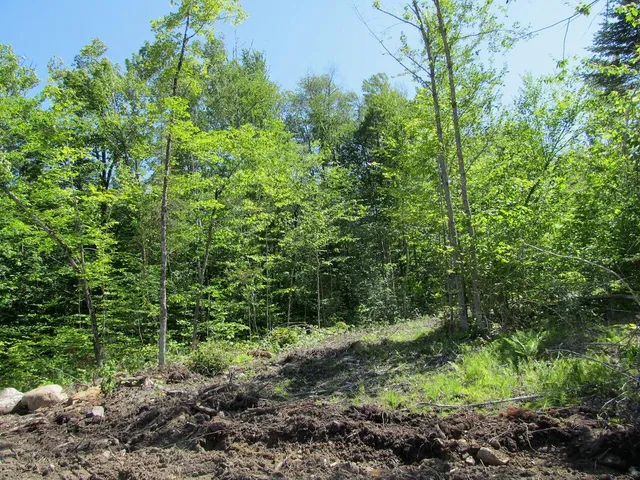 $87,500 | 13 Concord Pond Road, Bryant Pond, ME 04219