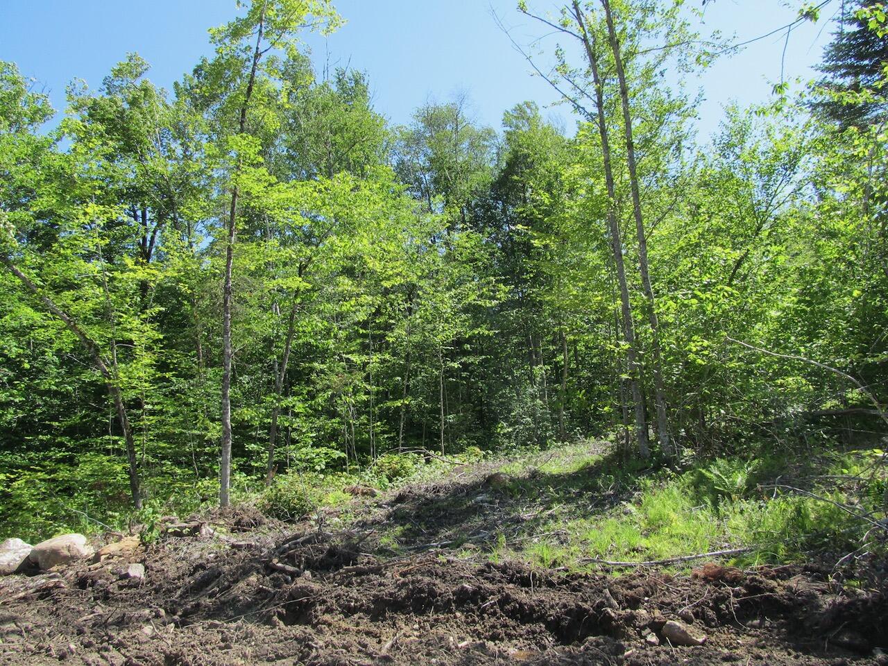 13 Concord Pond Road Bryant Pond, ME 04219 - Photo 9 of 19 IMG_0764