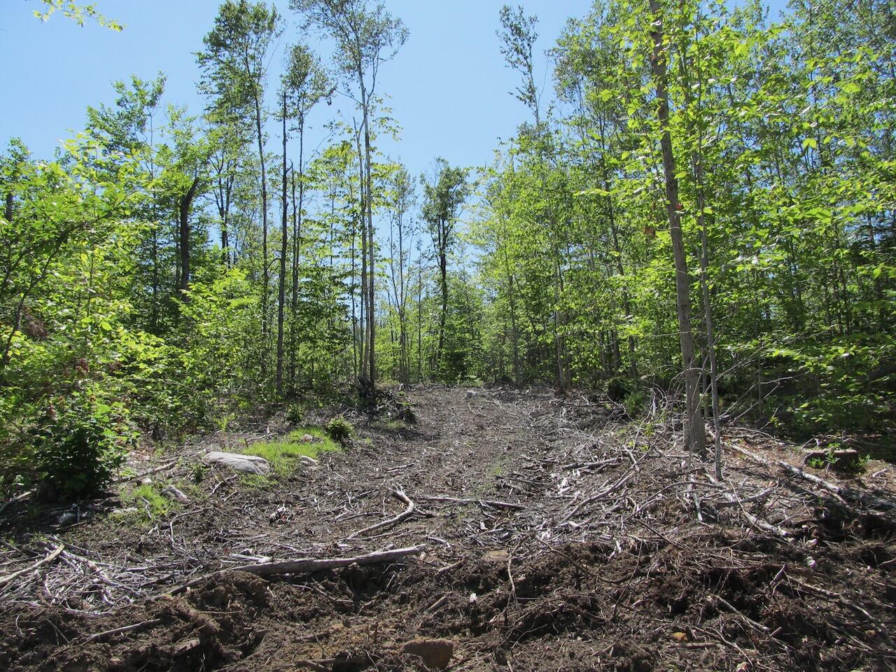 13 Concord Pond Road Bryant Pond, ME 04219 - Photo 10 of 19 IMG_0765