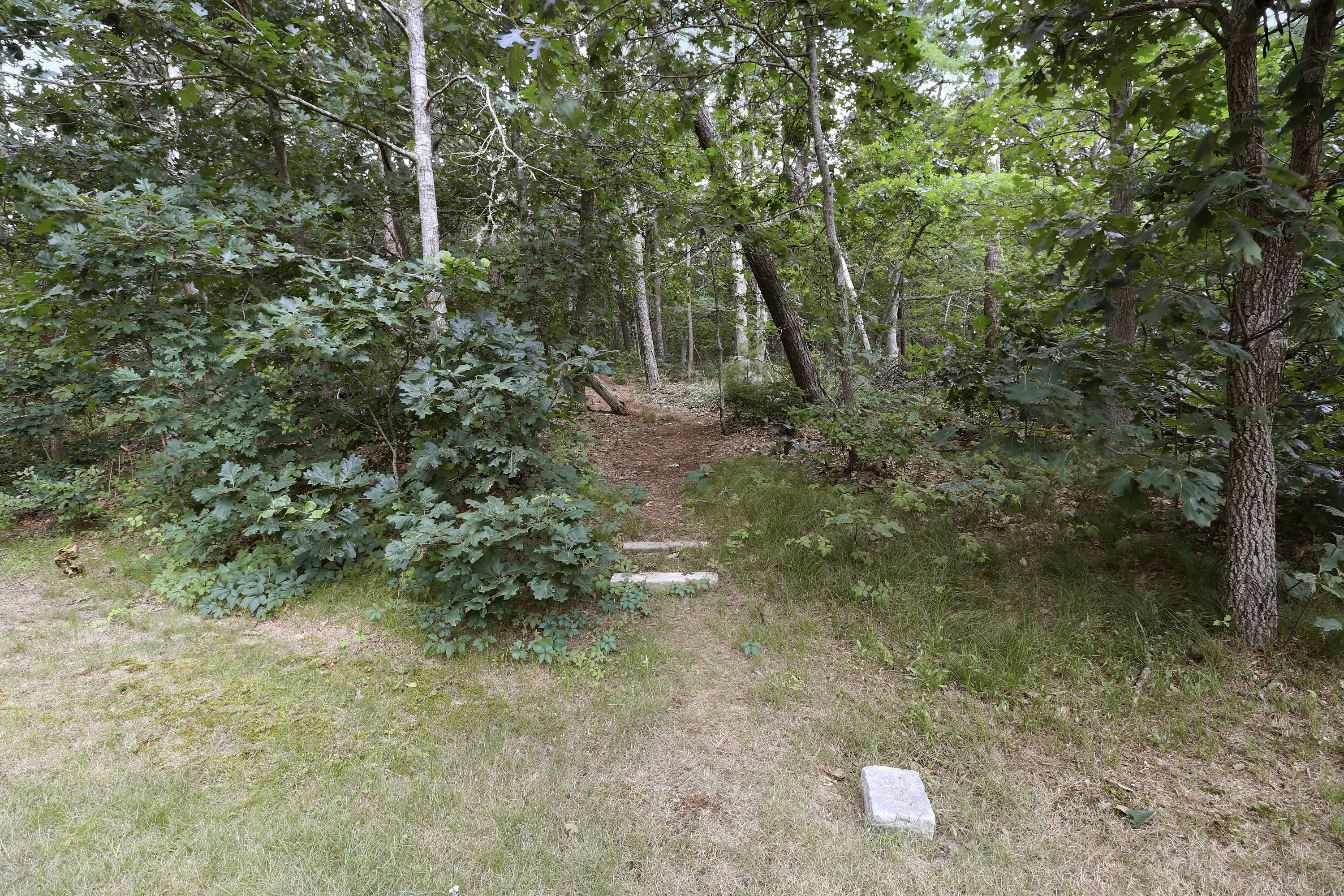 3546 Main Street, Unit 9 Brewster, MA 02631 - Photo 14 of 14 a backyard of a house with lots of green space