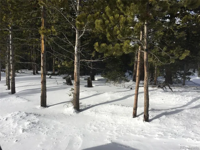a view of a park with iron fence