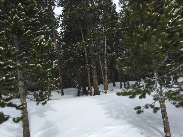a view of outdoor space with trees