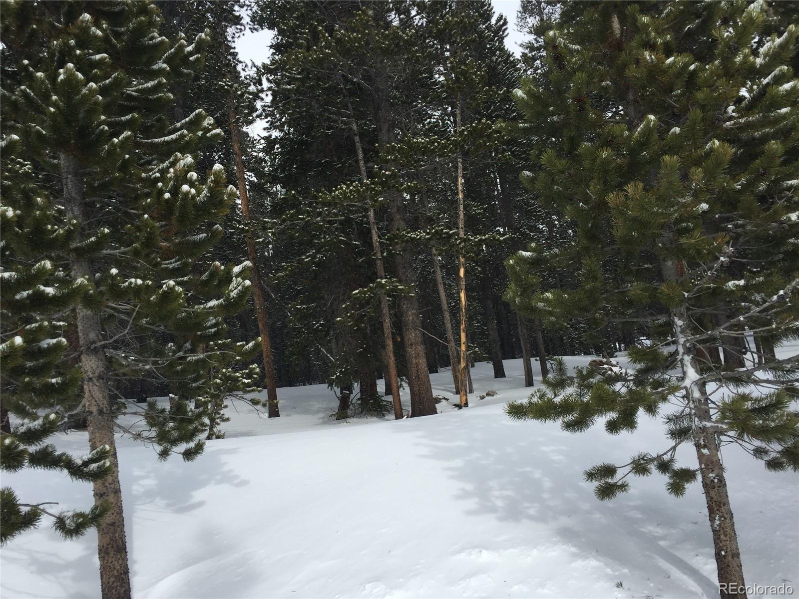 Alice Road Idaho Springs, CO 80452 - Photo 6 of 10 a view of outdoor space with trees