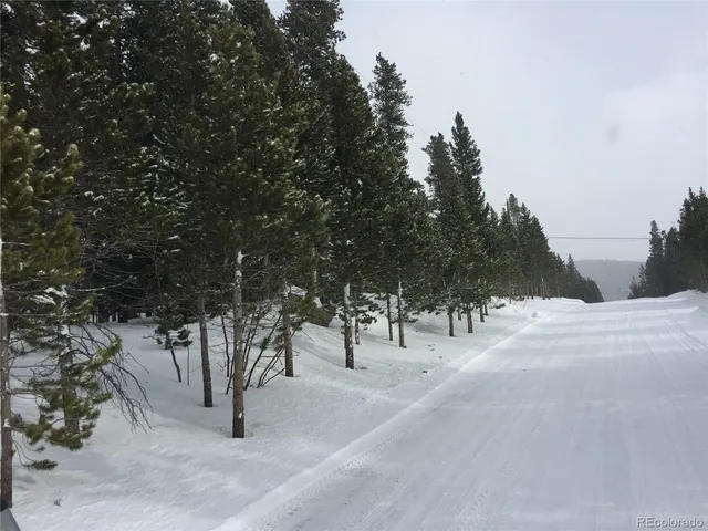 a view of road and trees