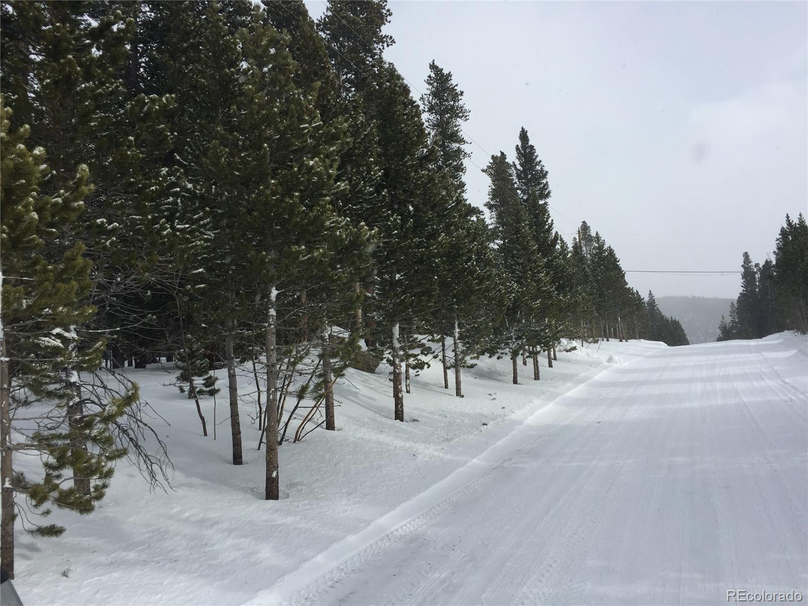Alice Road Idaho Springs, CO 80452 - Photo 7 of 10 a view of road and trees