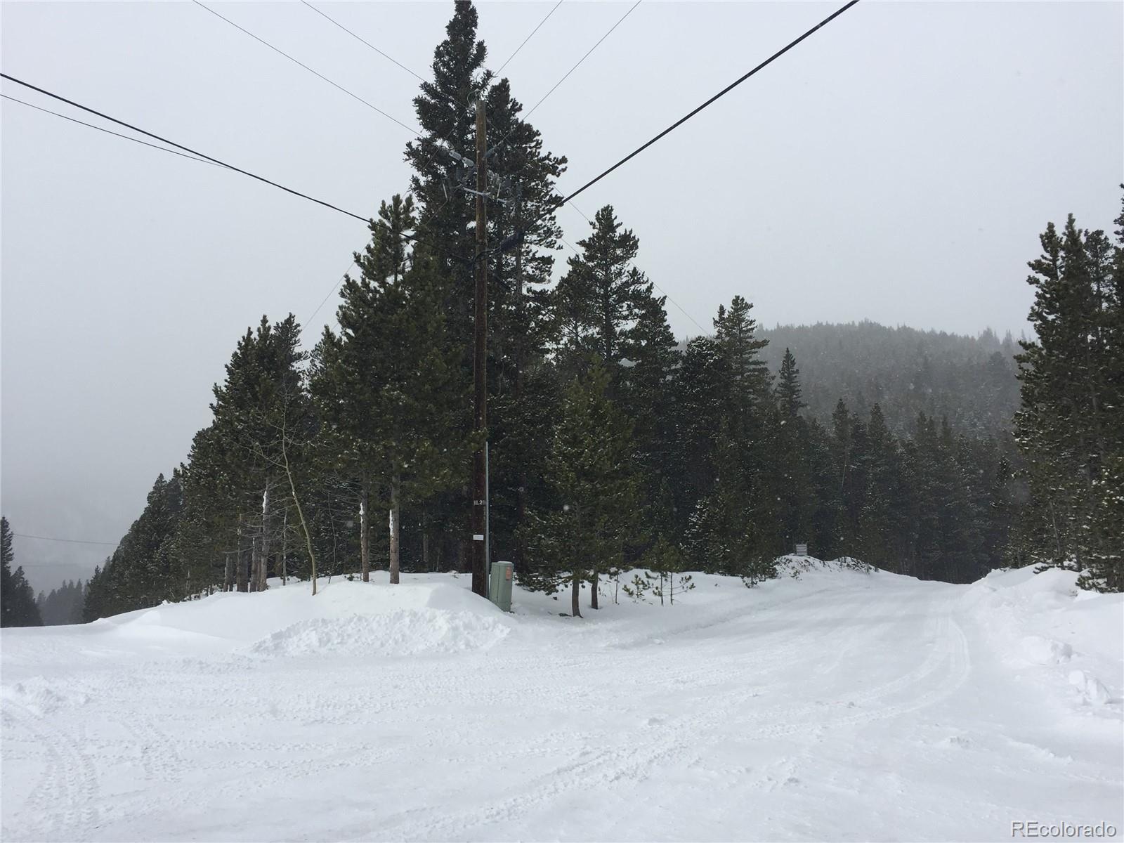 Alice Road Idaho Springs, CO 80452 - Photo 8 of 10 a view of outdoor space and yard