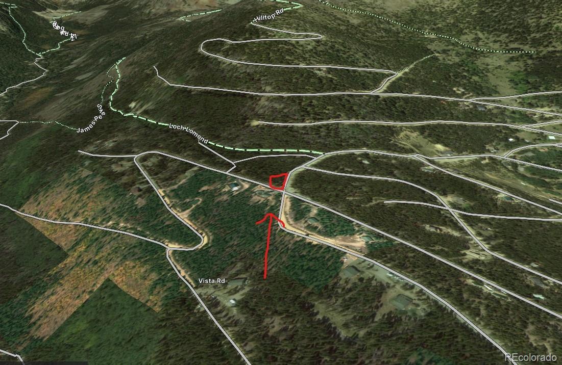 Alice Road Idaho Springs, CO 80452 - Photo 9 of 10