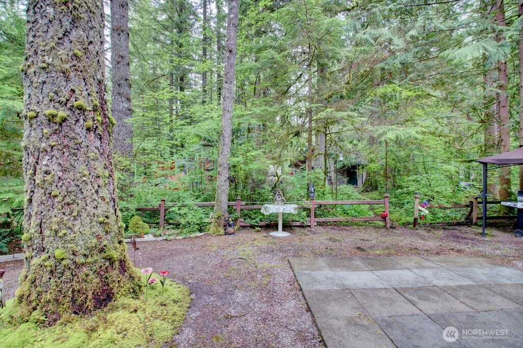 25-1 Goldrush Road Deming, WA 98244 - Photo 9 of 38 a view of a backyard with sitting area