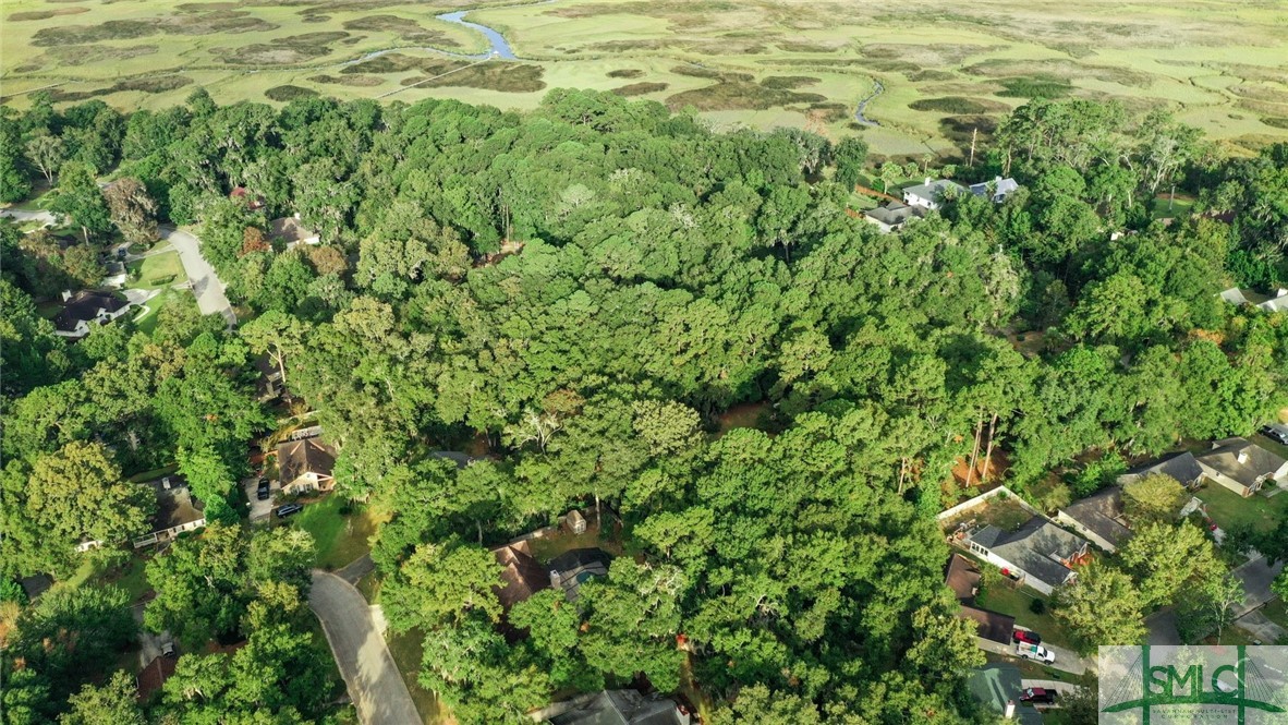 225 Coffee Bluff Villa Road Savannah, GA 31419 - Photo 5 of 22