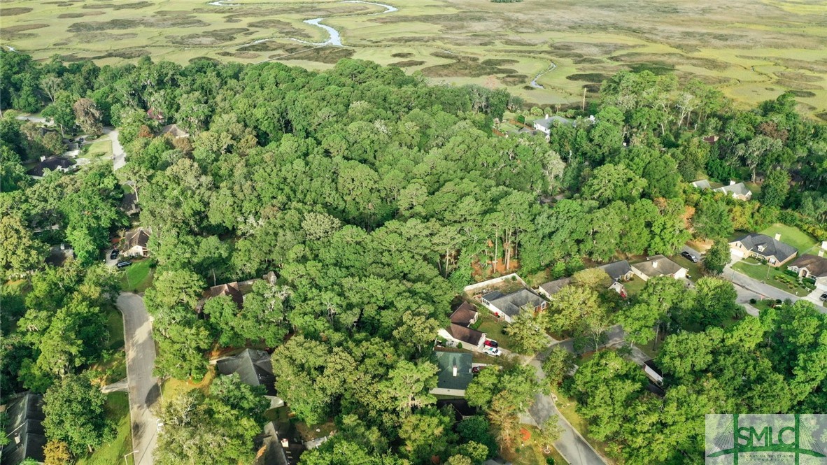 225 Coffee Bluff Villa Road Savannah, GA 31419 - Photo 7 of 22