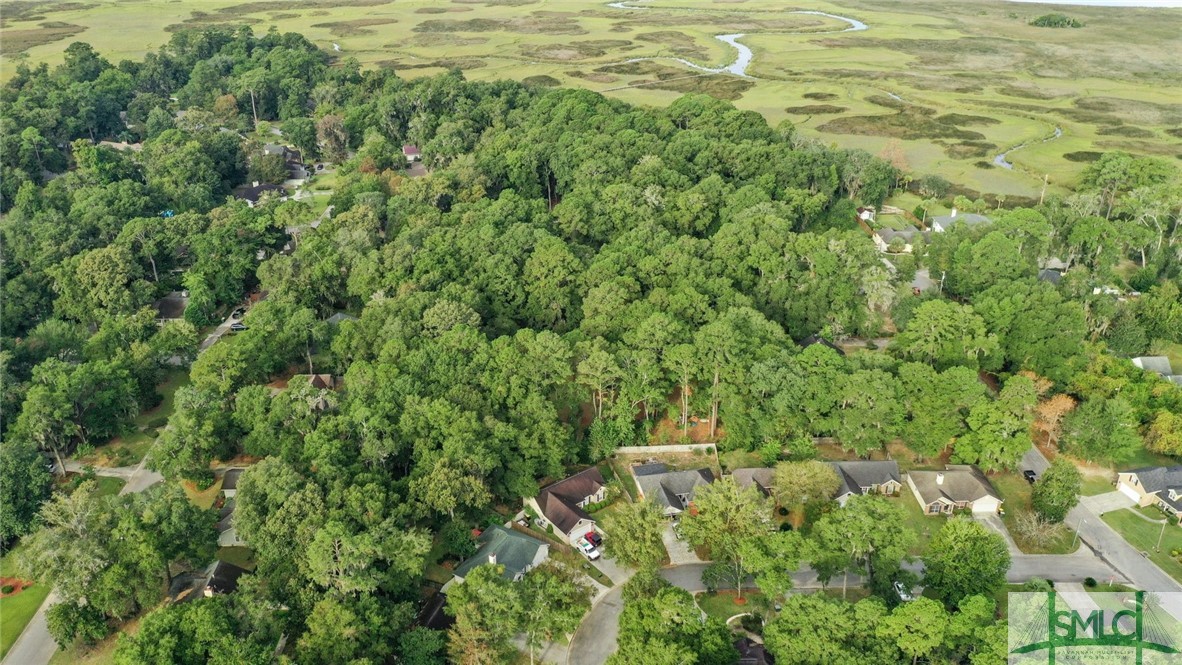 225 Coffee Bluff Villa Road Savannah, GA 31419 - Photo 8 of 22