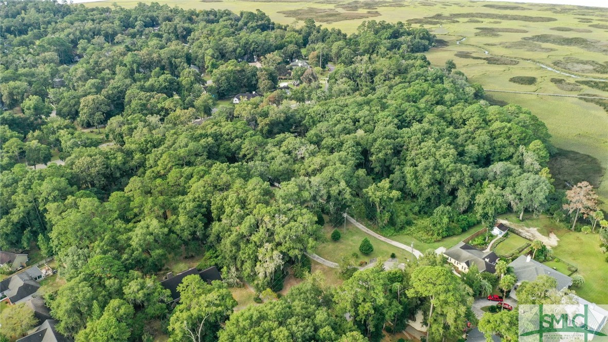 225 Coffee Bluff Villa Road Savannah, GA 31419 - Photo 10 of 22