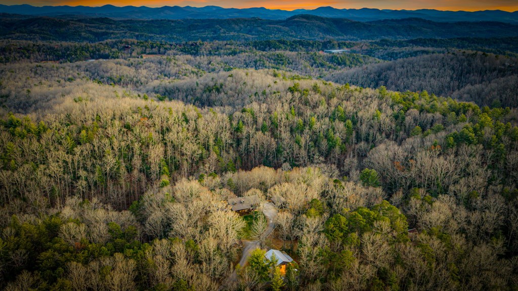 178 Arp Road Mineral Bluff, GA 30559 - Photo 69 of 75