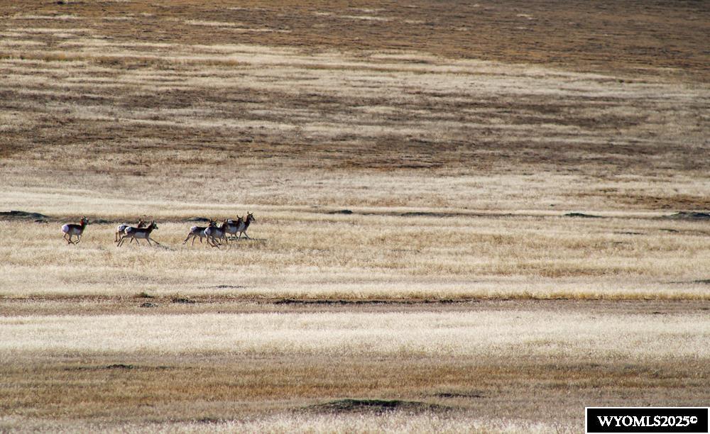 7750 Barbed Wire Way Casper, WY 82601 - Photo 42 of 50
