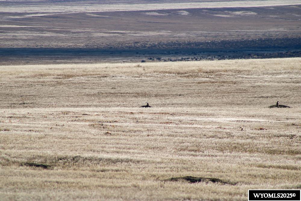 7750 Barbed Wire Way Casper, WY 82601 - Photo 43 of 50
