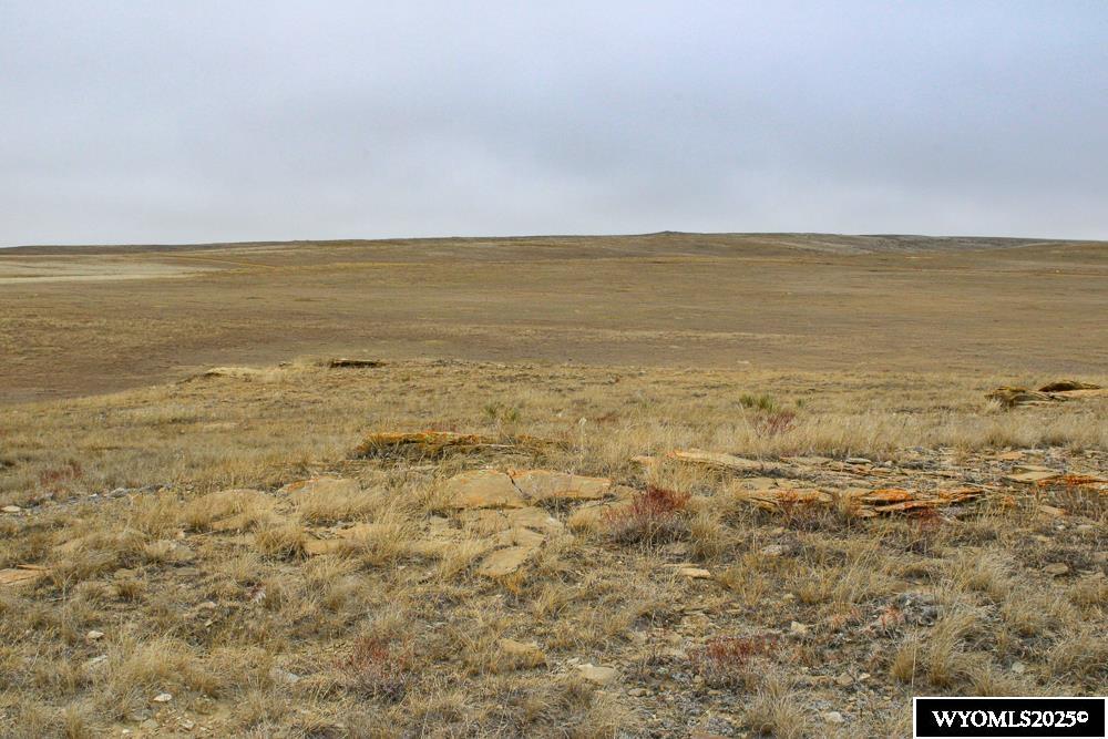 7750 Barbed Wire Way Casper, WY 82601 - Photo 7 of 50