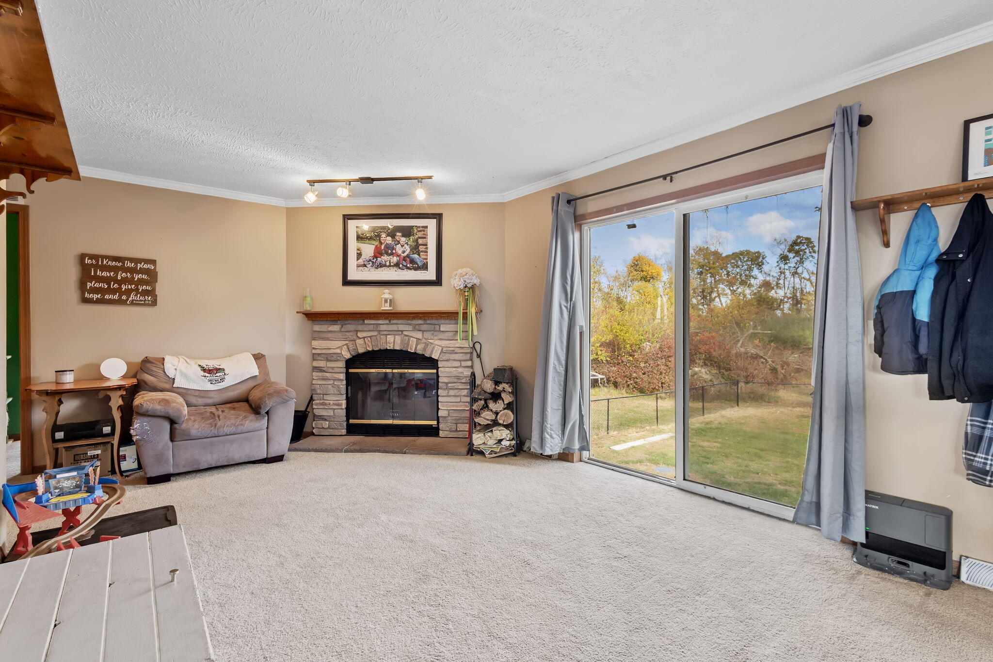 6303 Highway 231 Rensselaer, IN 47978 - Photo 12 of 41 a living room with furniture and a fireplace