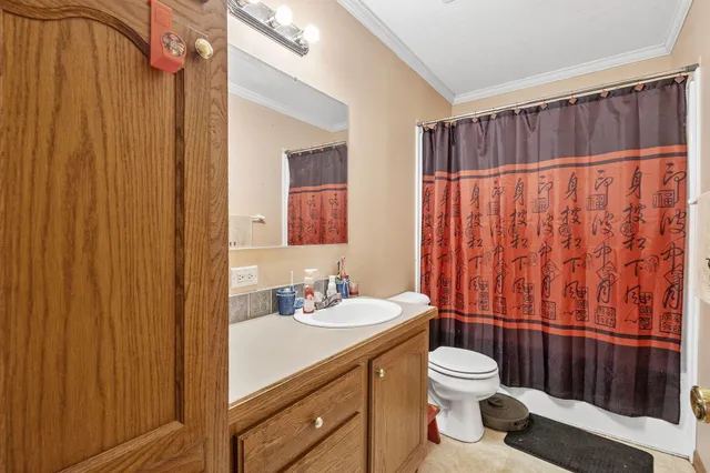 a bathroom with a sink a toilet and shower curtain
