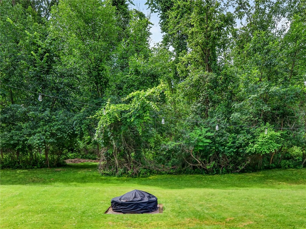 33 Willow Road Gaines, NY 14411 - Photo 6 of 28 Gallery Image 6