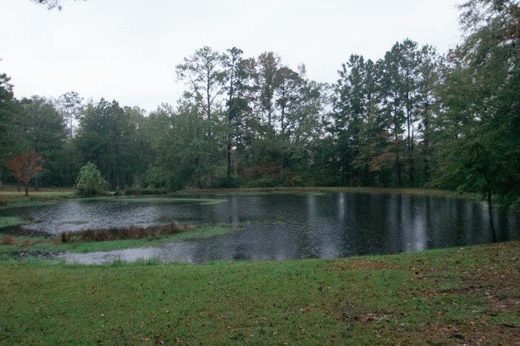 4841 Sandy Point Road Lizella, GA 31052 - Photo 4 of 42 a view of a lake