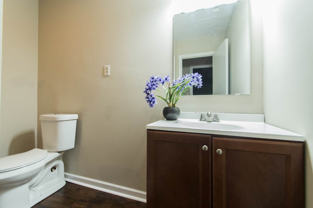 4841 Sandy Point Road Lizella, GA 31052 - Photo 37 of 42 a bathroom with a toilet sink and mirror