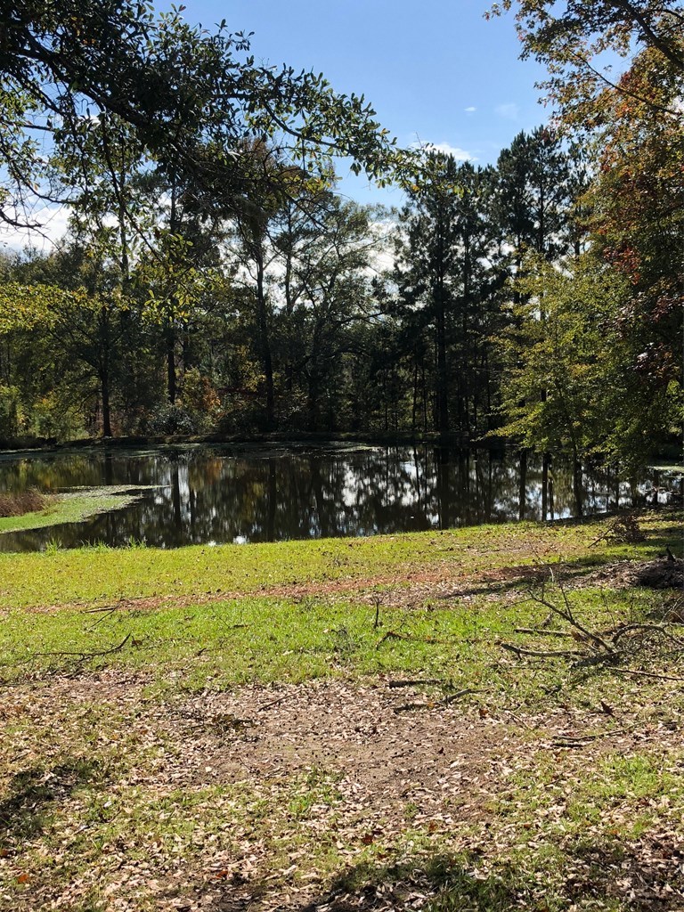 4841 Sandy Point Road Lizella, GA 31052 - Photo 5 of 42 a view of a yard with large trees