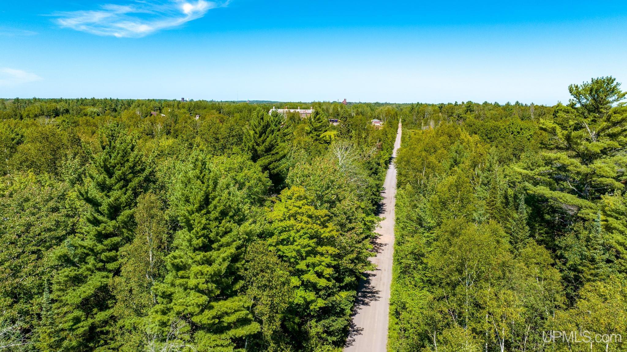 Tbd A Tbd A Tecumseh Road Calumet, MI 49913 - Photo 41 of 45