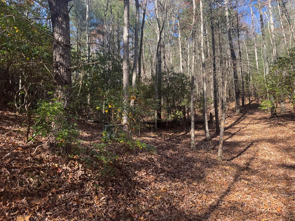 1982 Pine Log Church Road Brasstown, NC 28902 - Photo 2 of 18