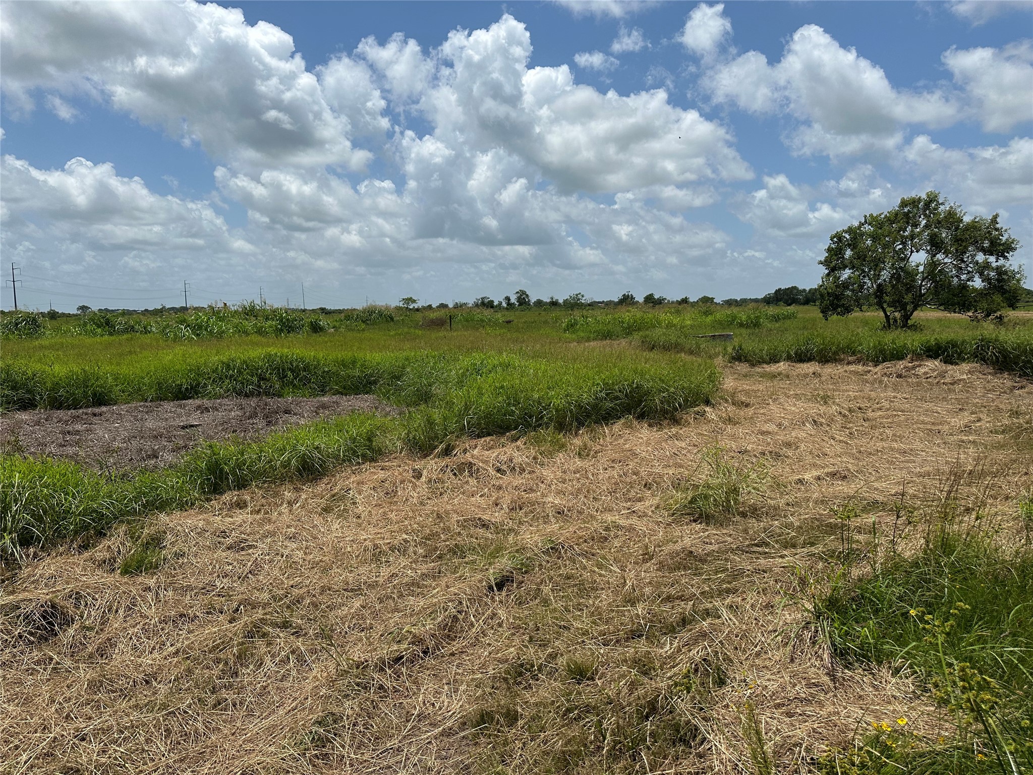 775 South FM 441 Road Louise, TX 77455 - Photo 11 of 14