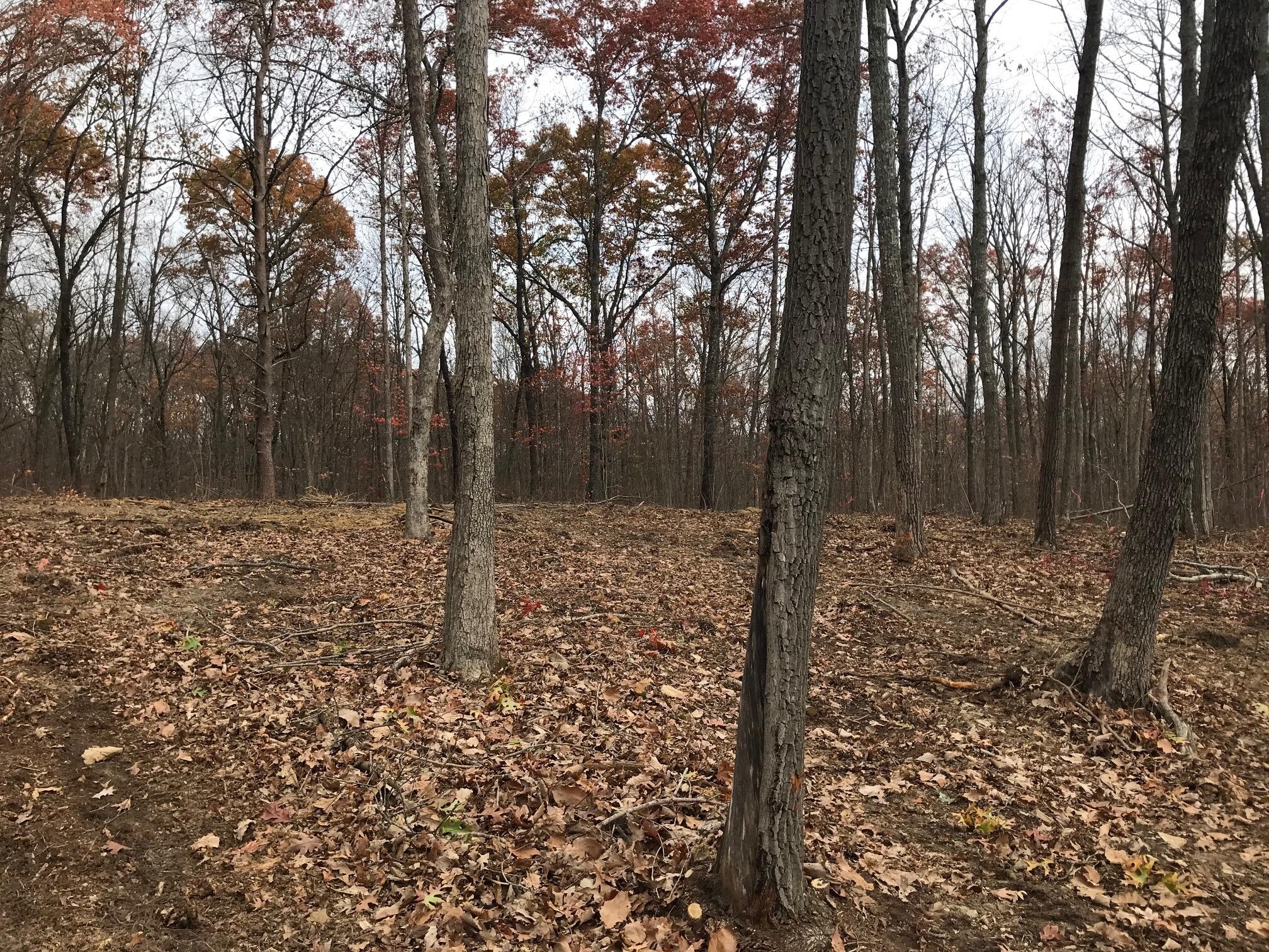 1 White Oak Swamp Road Dunlap, TN 37327 - Photo 1 of 16 Gallery Image 1