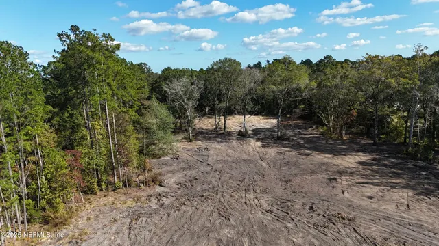 a view of a forest with trees in the background