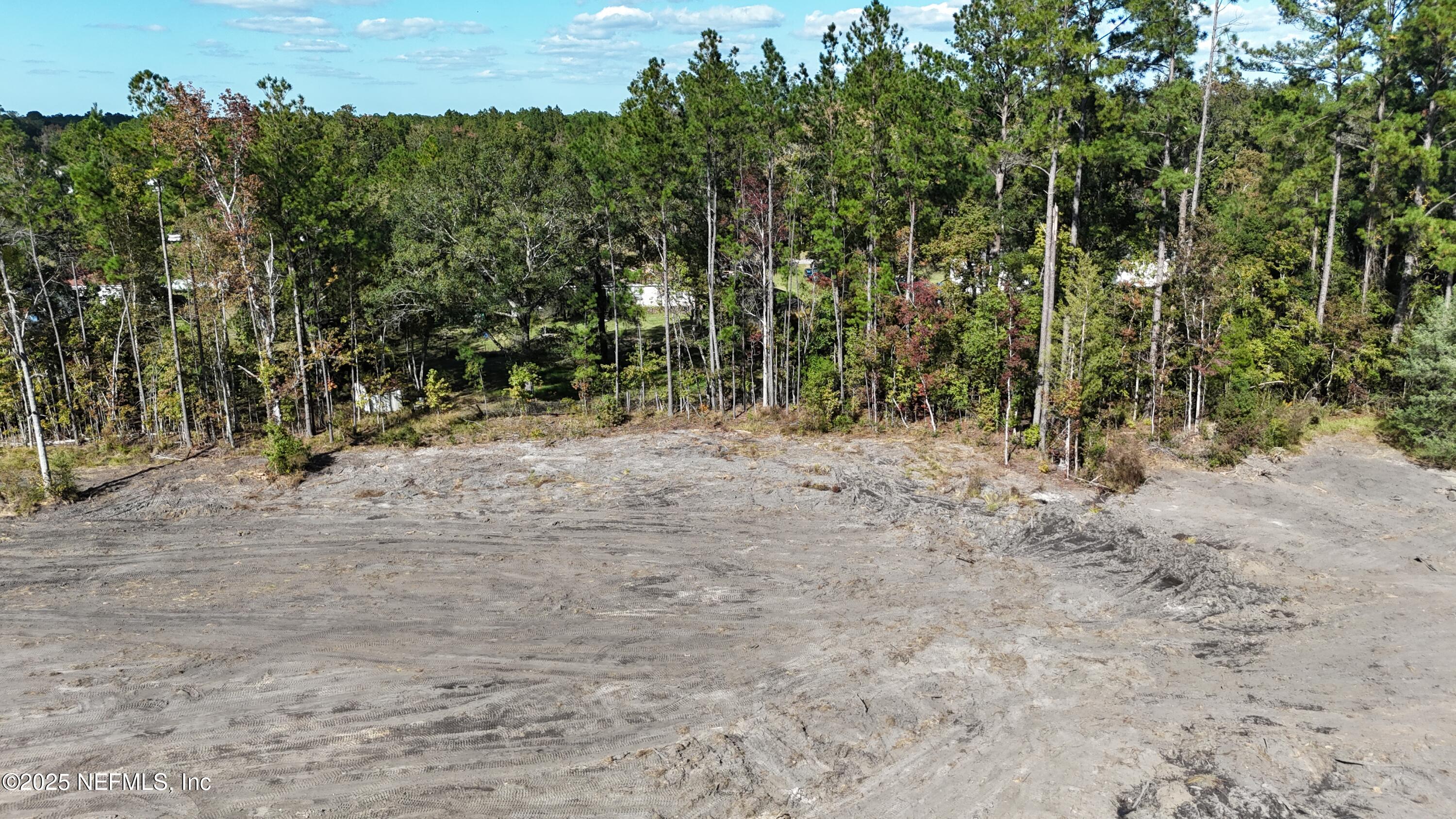 0 Wilbur Jones Road Callahan, FL 32011 - Photo 12 of 31 a view of a yard with a tree
