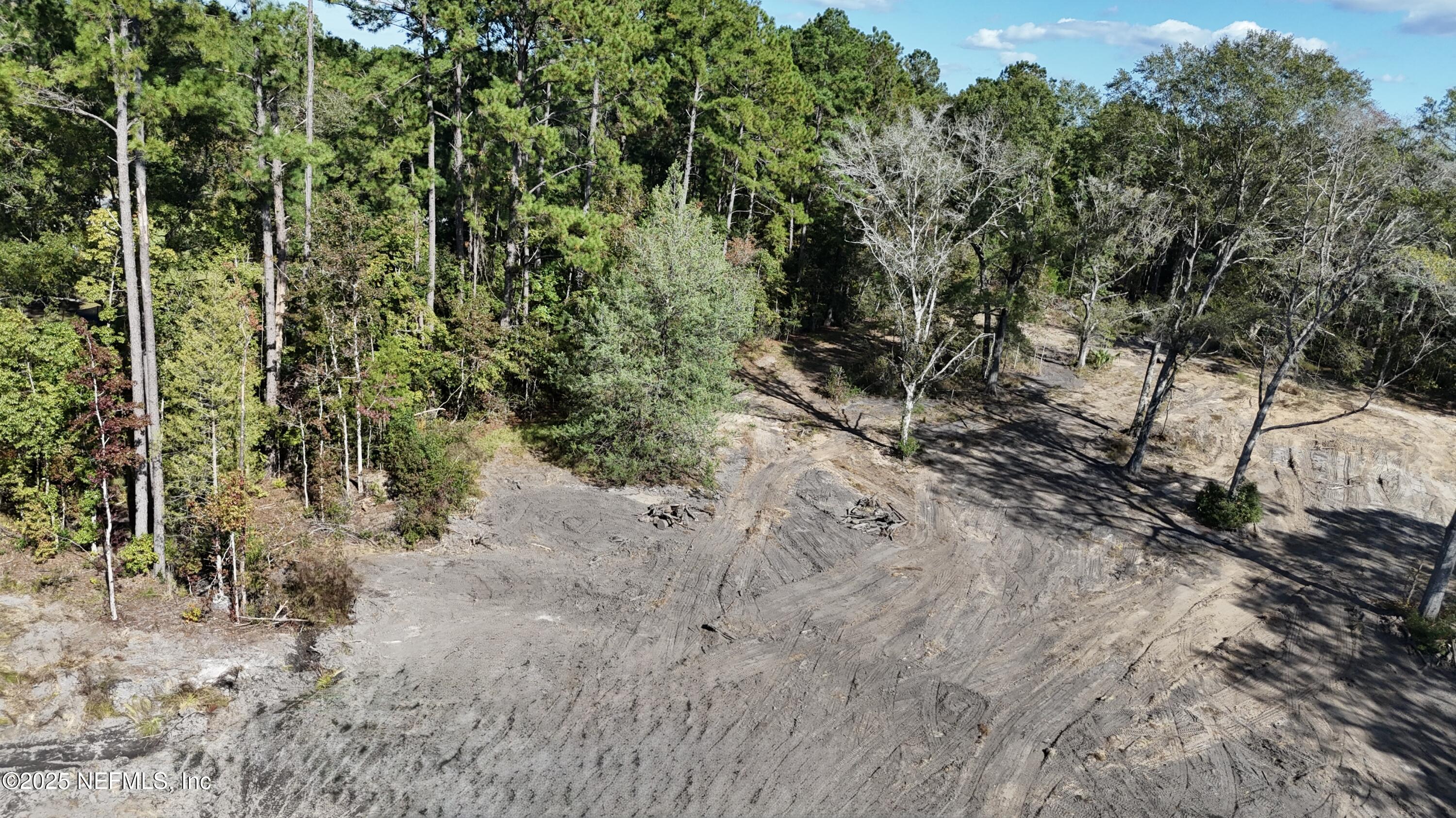 0 Wilbur Jones Road Callahan, FL 32011 - Photo 13 of 31 a view of a yard with plants and trees